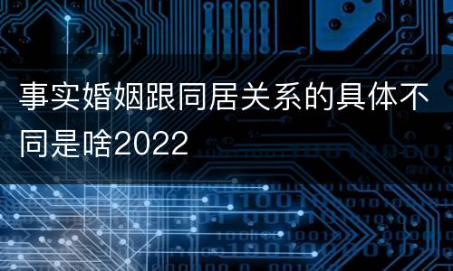 事实婚姻跟同居关系的具体不同是啥2022