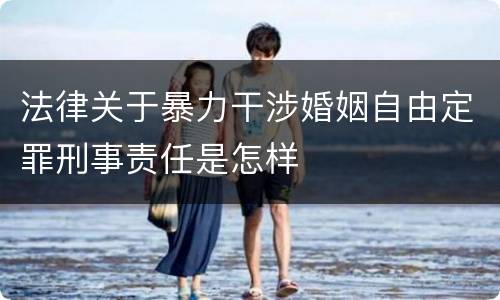 法律关于暴力干涉婚姻自由定罪刑事责任是怎样