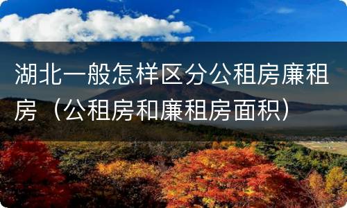 湖北一般怎样区分公租房廉租房（公租房和廉租房面积）