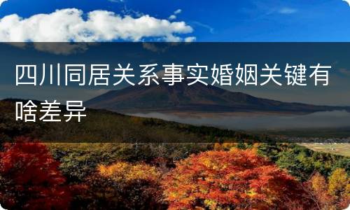 四川同居关系事实婚姻关键有啥差异