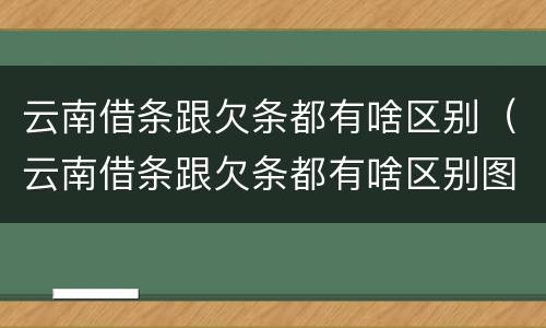 云南借条跟欠条都有啥区别（云南借条跟欠条都有啥区别图片）