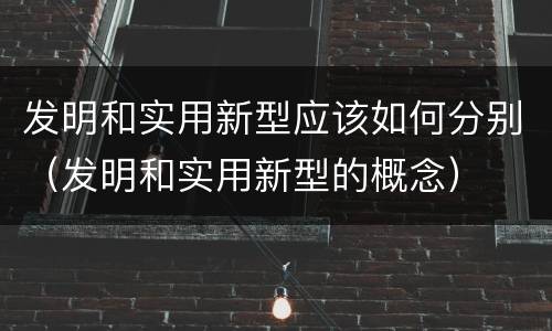 发明和实用新型应该如何分别（发明和实用新型的概念）