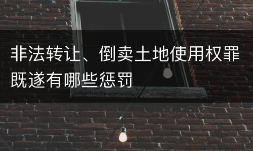 非法转让、倒卖土地使用权罪既遂有哪些惩罚