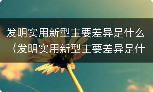 发明实用新型主要差异是什么（发明实用新型主要差异是什么意思）