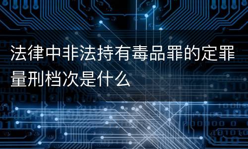 法律中非法持有毒品罪的定罪量刑档次是什么