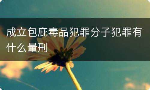 成立包庇毒品犯罪分子犯罪有什么量刑