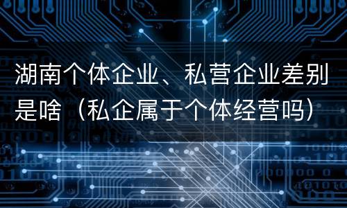 湖南个体企业、私营企业差别是啥（私企属于个体经营吗）