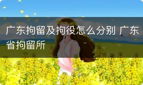 广东拘留及拘役怎么分别 广东省拘留所