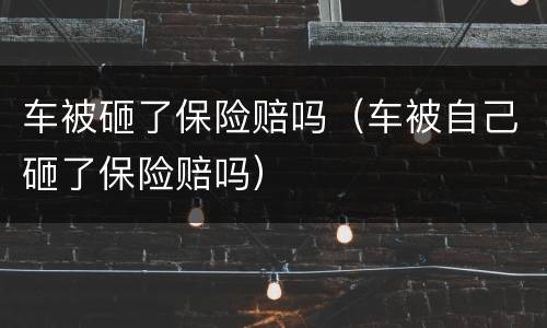 车被砸了保险赔吗（车被自己砸了保险赔吗）