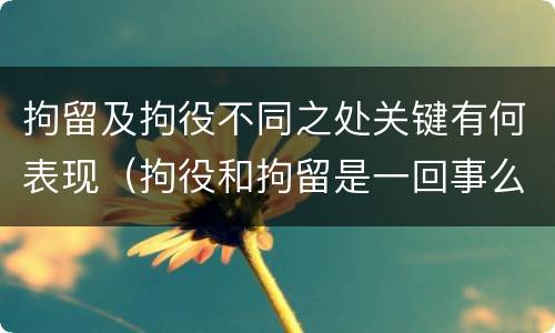 拘留及拘役不同之处关键有何表现（拘役和拘留是一回事么）