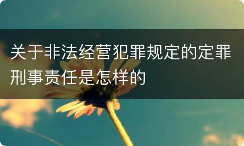 关于非法经营犯罪规定的定罪刑事责任是怎样的