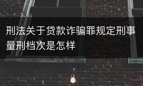 刑法关于贷款诈骗罪规定刑事量刑档次是怎样