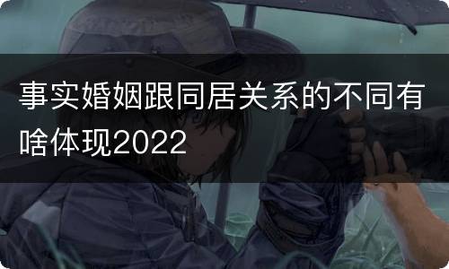事实婚姻跟同居关系的不同有啥体现2022
