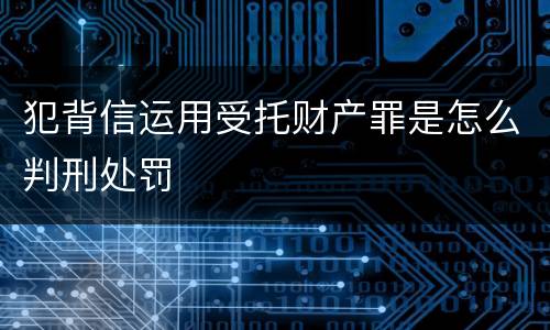 犯背信运用受托财产罪是怎么判刑处罚