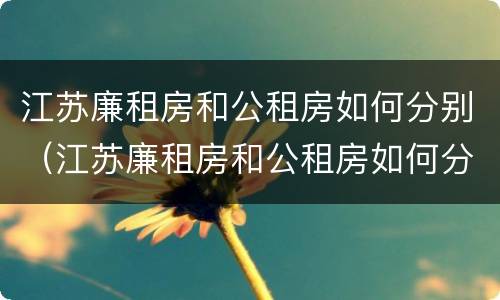 江苏廉租房和公租房如何分别（江苏廉租房和公租房如何分别使用）