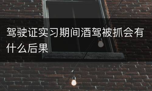 驾驶证实习期间酒驾被抓会有什么后果