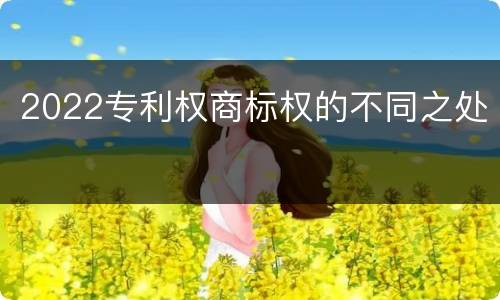 2022专利权商标权的不同之处