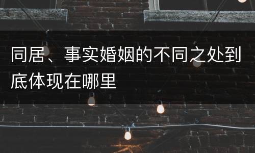 同居、事实婚姻的不同之处到底体现在哪里