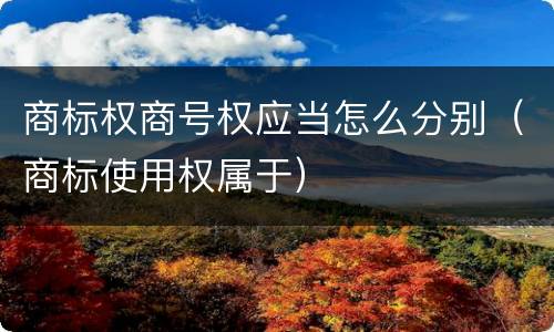 商标权商号权应当怎么分别（商标使用权属于）