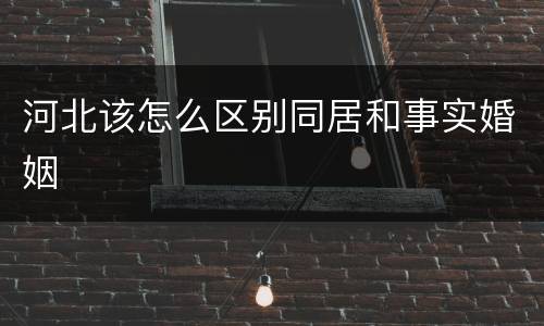 河北该怎么区别同居和事实婚姻