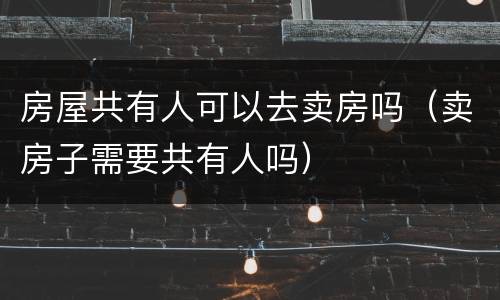 房屋共有人可以去卖房吗（卖房子需要共有人吗）