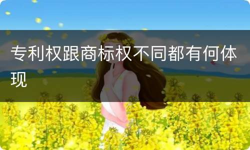 专利权跟商标权不同都有何体现