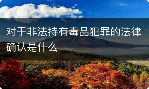 对于非法持有毒品犯罪的法律确认是什么