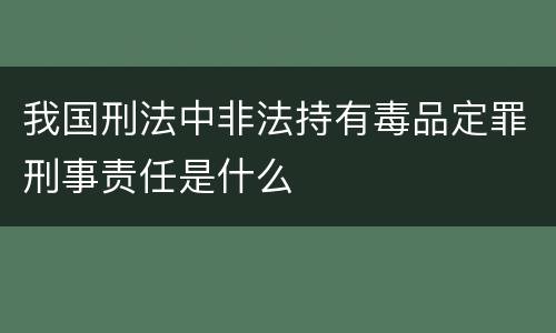 我国刑法中非法持有毒品定罪刑事责任是什么