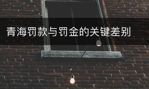 青海罚款与罚金的关键差别