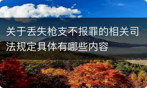 关于丢失枪支不报罪的相关司法规定具体有哪些内容