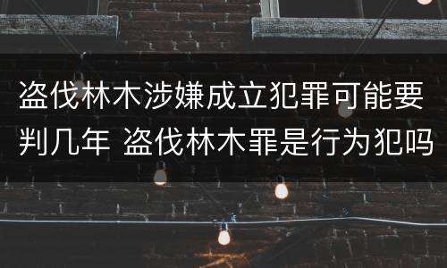 盗伐林木涉嫌成立犯罪可能要判几年 盗伐林木罪是行为犯吗
