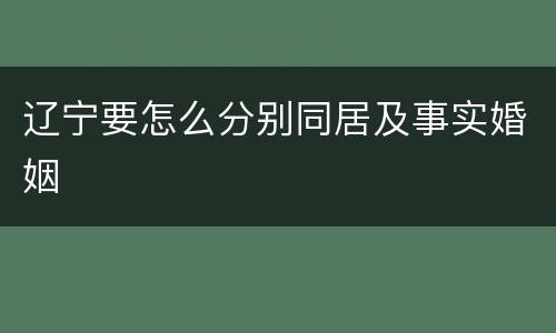 辽宁要怎么分别同居及事实婚姻