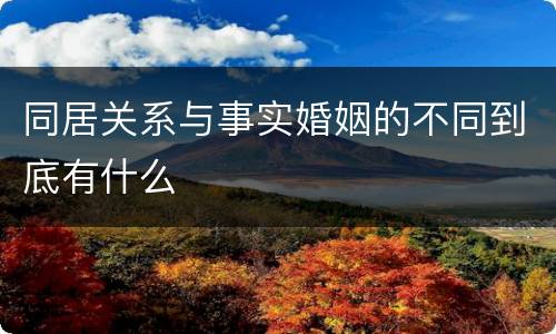 同居关系与事实婚姻的不同到底有什么