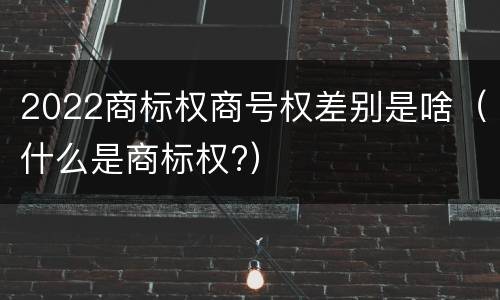 2022商标权商号权差别是啥（什么是商标权?）