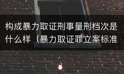 构成暴力取证刑事量刑档次是什么样（暴力取证罪立案标准）