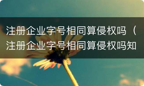 注册企业字号相同算侵权吗（注册企业字号相同算侵权吗知乎）