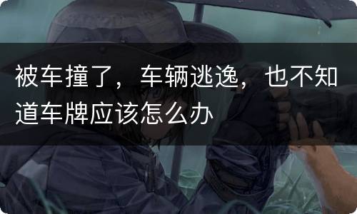 被车撞了，车辆逃逸，也不知道车牌应该怎么办