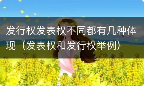 发行权发表权不同都有几种体现（发表权和发行权举例）