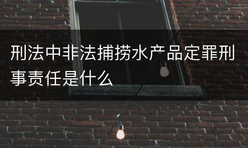 刑法中非法捕捞水产品定罪刑事责任是什么