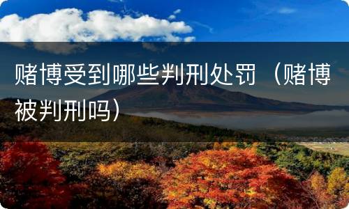 赌博受到哪些判刑处罚（赌博被判刑吗）
