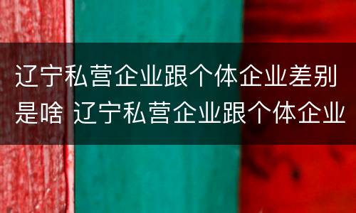 辽宁私营企业跟个体企业差别是啥 辽宁私营企业跟个体企业差别是啥呀