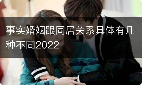事实婚姻跟同居关系具体有几种不同2022