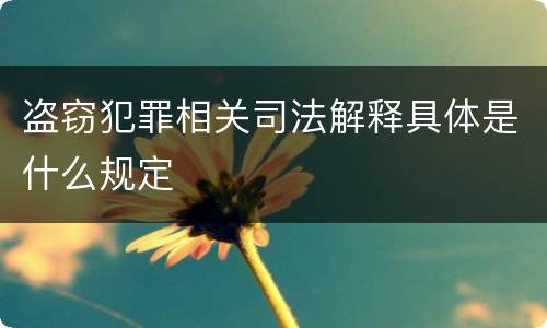 盗窃犯罪相关司法解释具体是什么规定