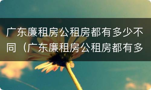 广东廉租房公租房都有多少不同（广东廉租房公租房都有多少不同的地方）