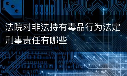 法院对非法持有毒品行为法定刑事责任有哪些