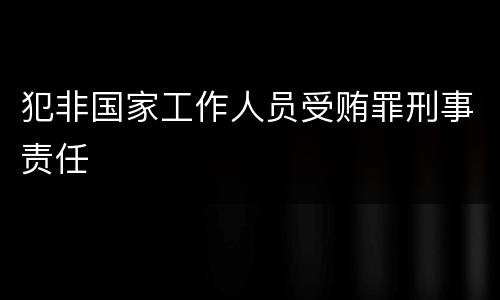 犯非国家工作人员受贿罪刑事责任