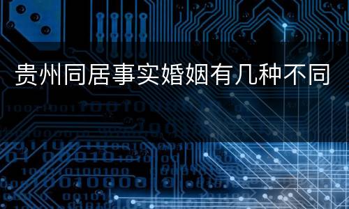贵州同居事实婚姻有几种不同