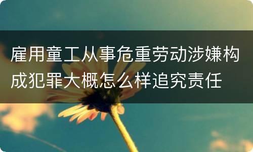 雇用童工从事危重劳动涉嫌构成犯罪大概怎么样追究责任