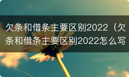 欠条和借条主要区别2022（欠条和借条主要区别2022怎么写）