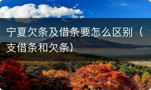 宁夏欠条及借条要怎么区别（支借条和欠条）